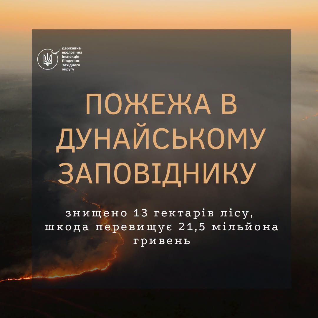 На Одещині через падіння уламків БпЛА згоріло 13 гектарів заповідного лісу