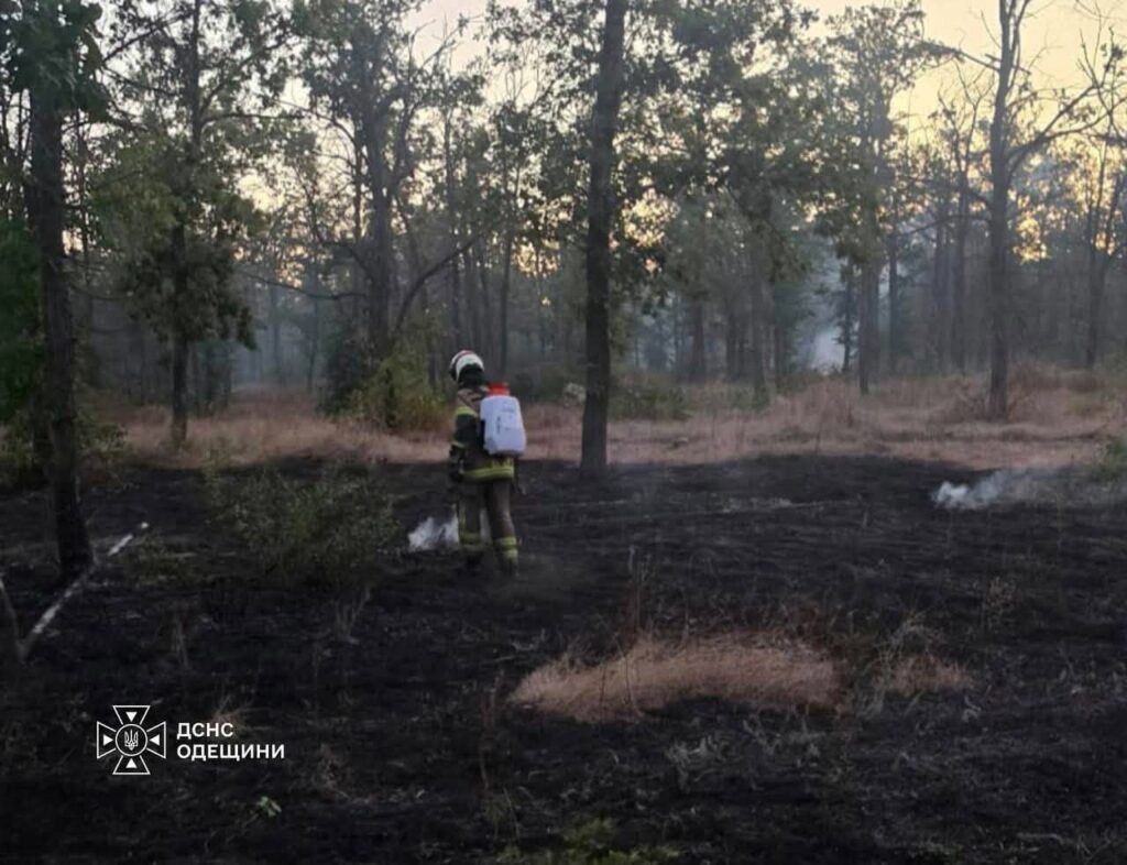 Палали інфраструктурні об’єкти та дачні будинки: наслідки масованого обстрілу Одещини