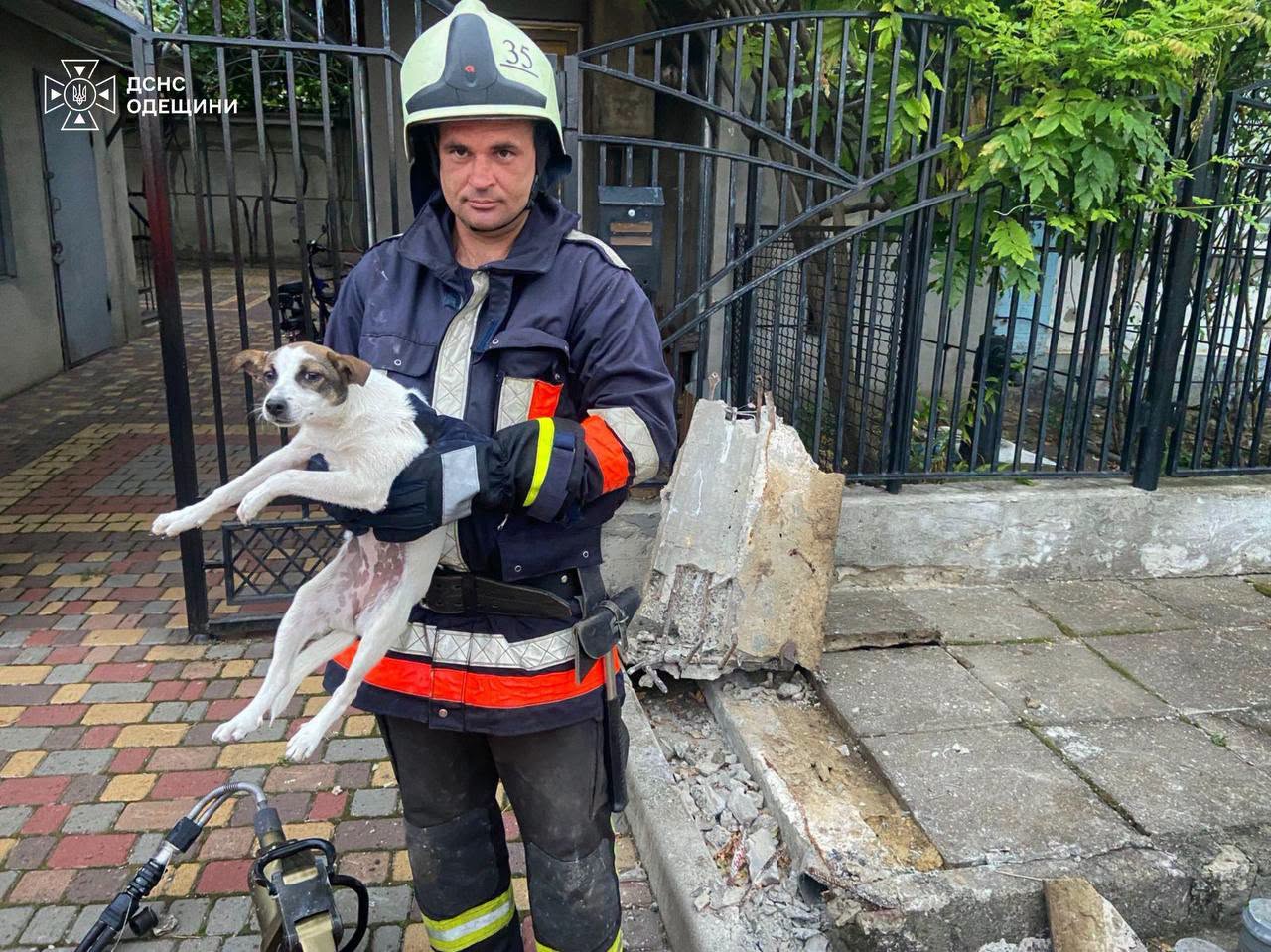 В Одесской области спасатели освободили из ловушек кошку и щенка (фото) В Одесской области спасатели освободили из ловушек кошку и щенка (фото)