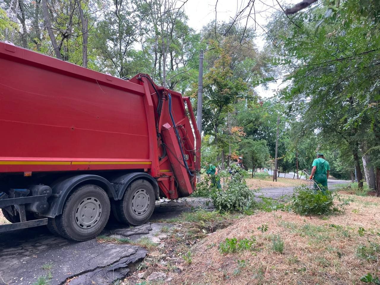 Ночью ветер повалил в Одессе шесть деревьев (фото) Ночью ветер повалил в Одессе шесть деревьев (фото)