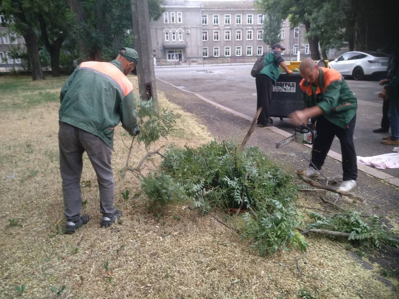 Ночью ветер повалил в Одессе шесть деревьев (фото) Ночью ветер повалил в Одессе шесть деревьев (фото)