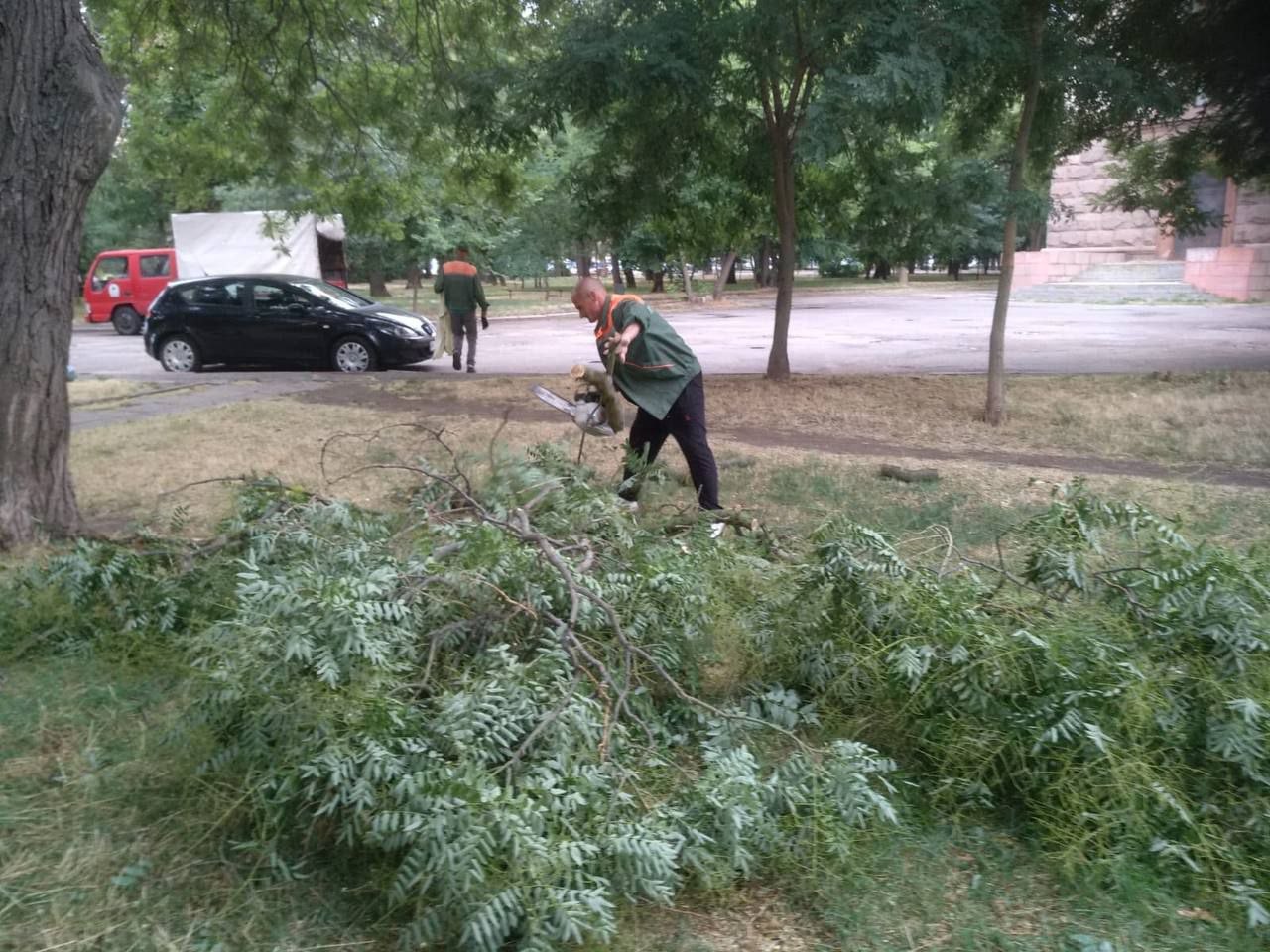 Ночью ветер повалил в Одессе шесть деревьев (фото)
