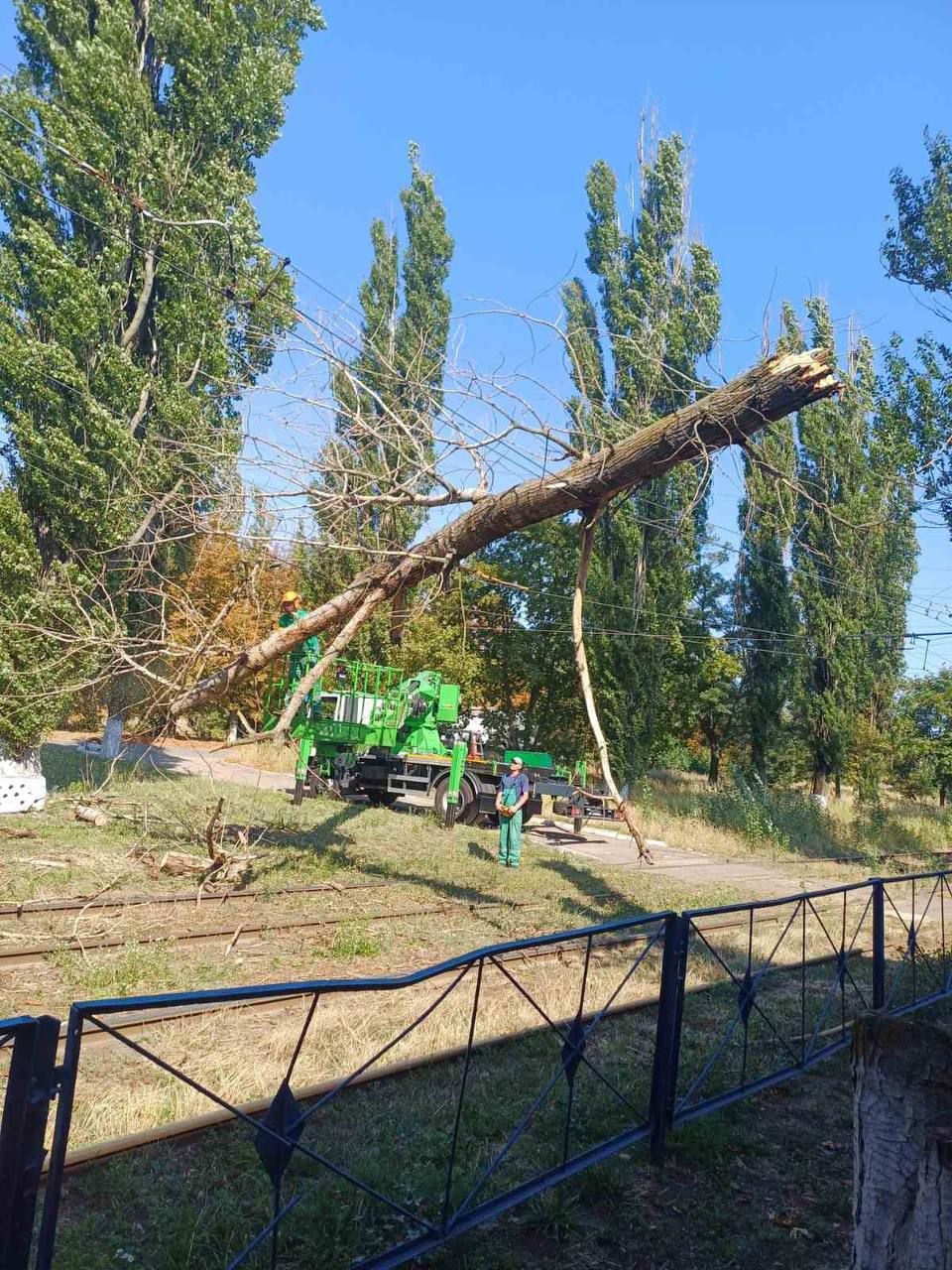 Ночью ветер повалил в Одессе шесть деревьев (фото) Ночью ветер повалил в Одессе шесть деревьев (фото)