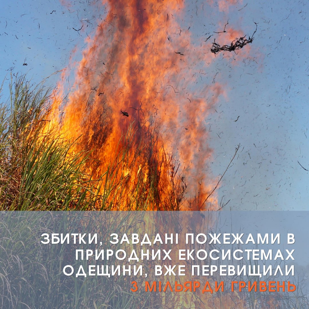 Понад три мільярди гривень збитків: на Одещині не вщухають пожежі в екосистемах Понад три мільярди гривень збитків: на Одещині не вщухають пожежі в екосистемах