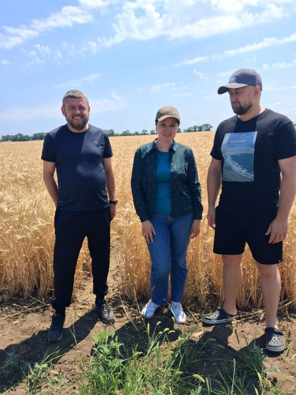 Війна, забруднені ґрунти та зміна клімату: над чим працюють аграрні науковці на Одещині Війна, забруднені ґрунти та зміна клімату: над чим працюють аграрні науковці на Одещині