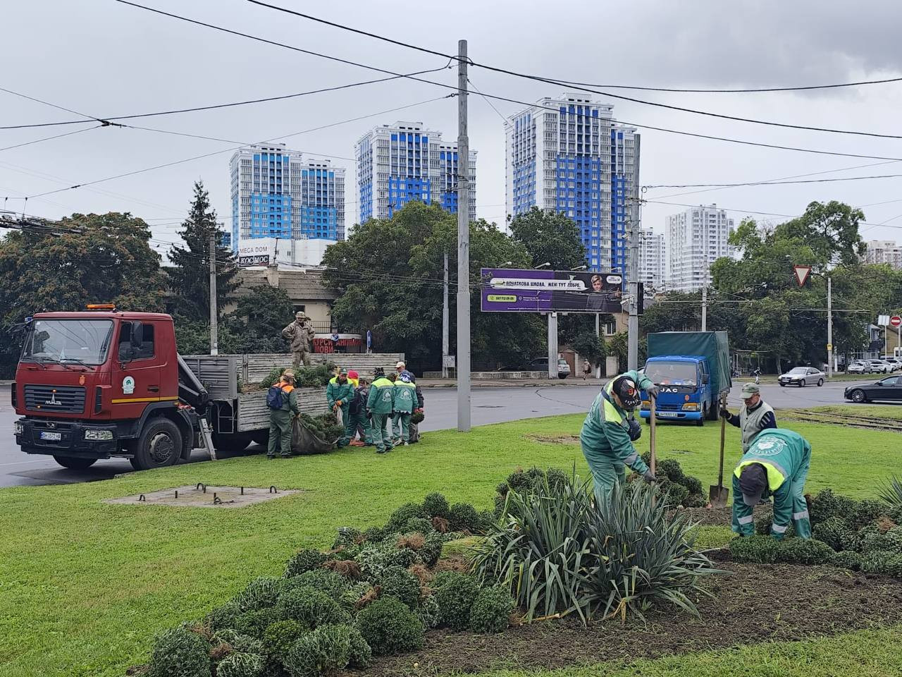 В Одессе этой осенью высадят тысячи хризантем