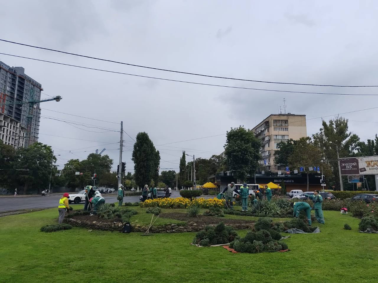 В Одессе этой осенью высадят тысячи хризантем