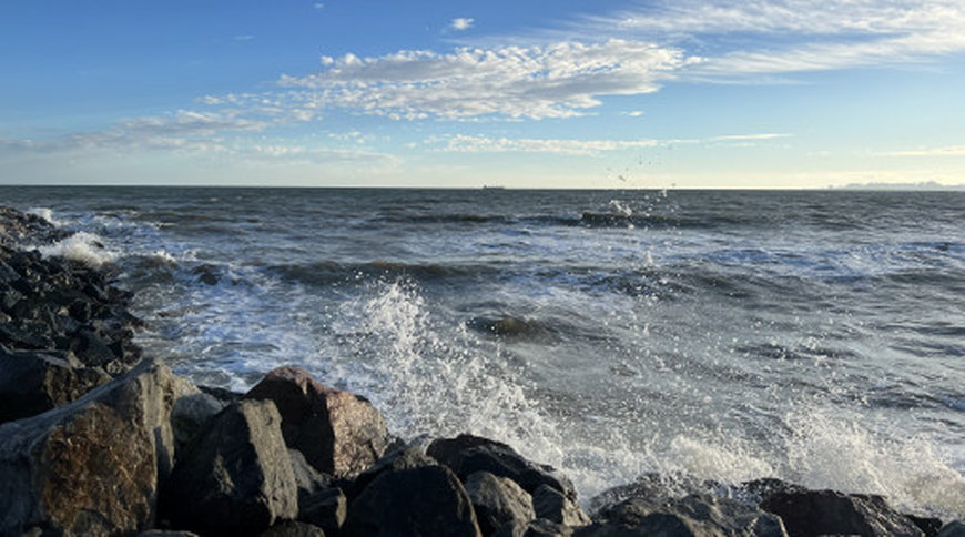 Морская вода на семи пляжах Одессы соответствует гигиеническим требованиям Морская вода на семи пляжах Одессы соответствует гигиеническим требованиям