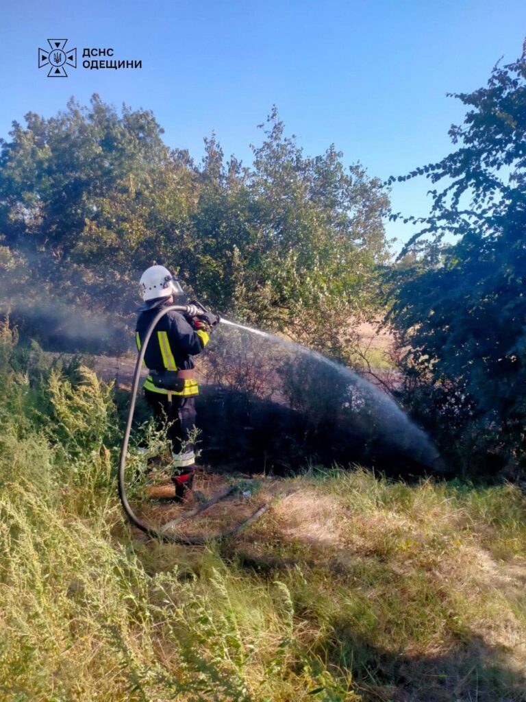 Близько чотирьох мільярдів гривень збитків: на Одещині не вщухають пожежі в екосистемах Четыре миллиарда гривен ущерба: в Одесской области не утихают пожары в экосистемах