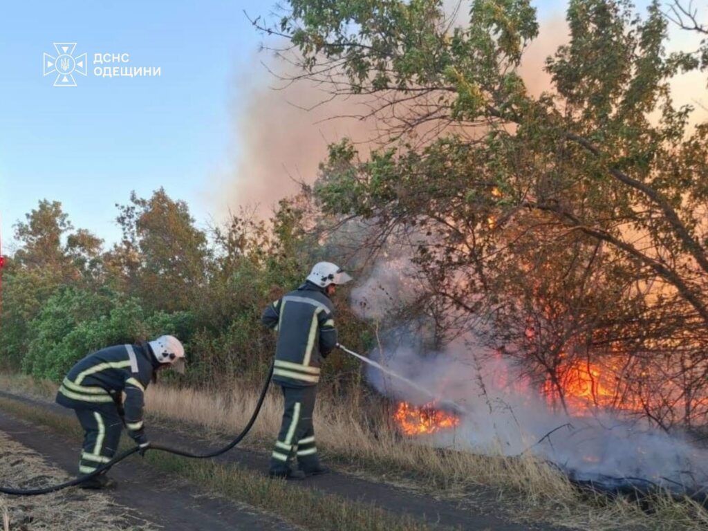 Майже чотири мільярди гривень збитків: на Одещині не вщухають пожежі в екосистемах