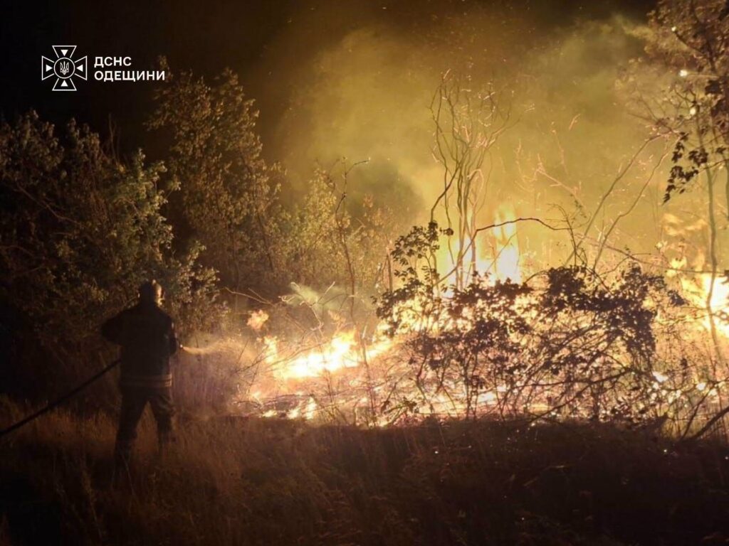 Майже чотири мільярди гривень збитків: на Одещині не вщухають пожежі в екосистемах