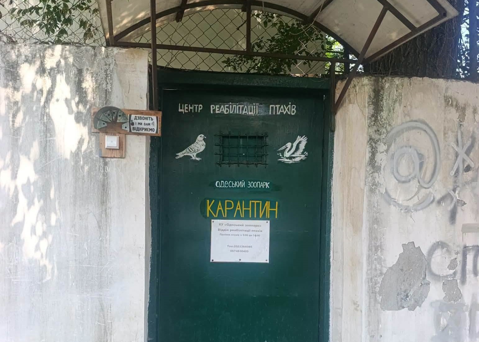 В Одеському зоопарку відновлює роботу відділ реабілітації птахів