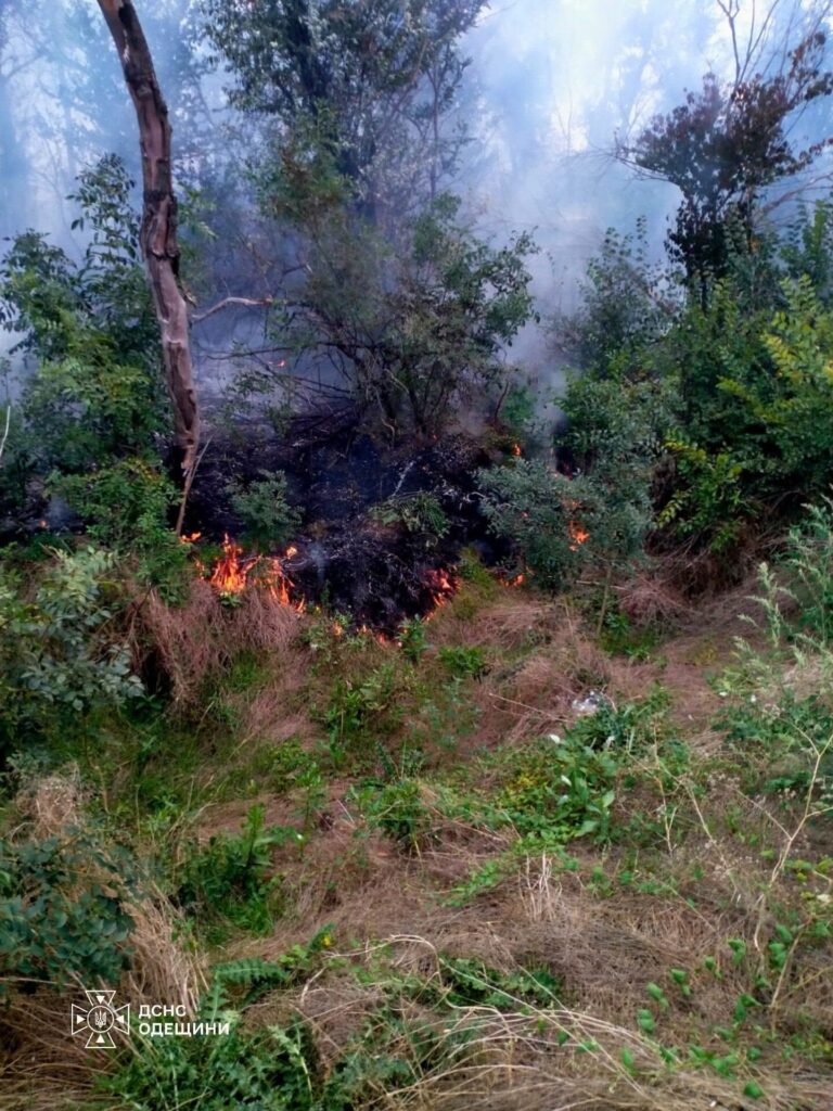 Близько чотирьох мільярдів гривень збитків: на Одещині не вщухають пожежі в екосистемах Четыре миллиарда гривен ущерба: в Одесской области не утихают пожары в экосистемах