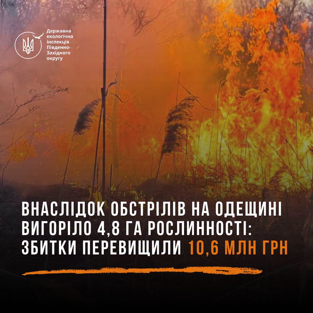 На Одещині через ворожу атаку вигоріло майже п’ять гектарів рослинності На Одещині через ворожу атаку вигоріло майже п’ять гектарів рослинності