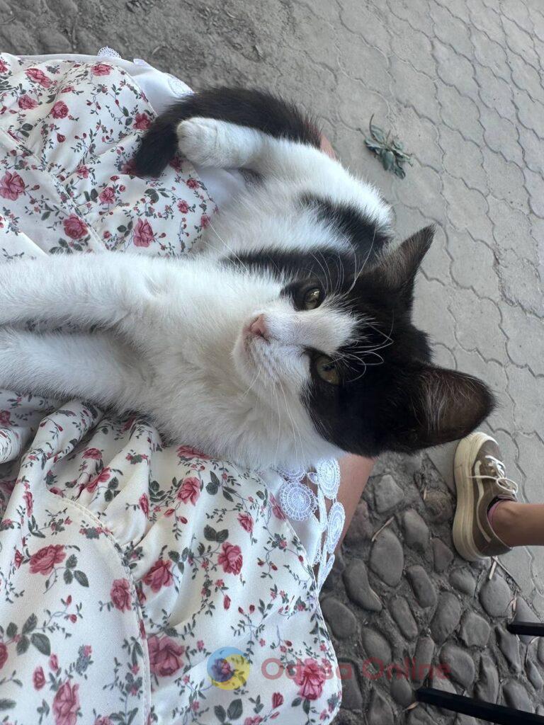 Тиждень в Одесі: місто після масованих атак, бабине літо та перші ознаки осені Неделя в Одессе: город после массированных атак, бабье лето и первые признаки осени