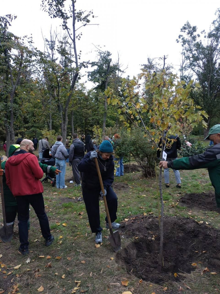 Полсотни кленов высадили в одесском дендропарке Победы (фото) Полсотни кленов высадили в одесском дендропарке Победы (фото)