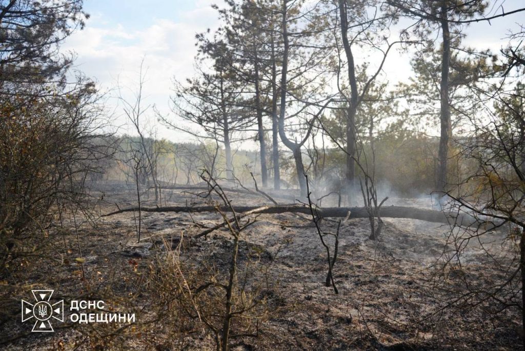 Внаслідок російського удару по Одещині спалахнула пожежа в лісі Внаслідок російського удару по Одещині спалахнула пожежа в лісі