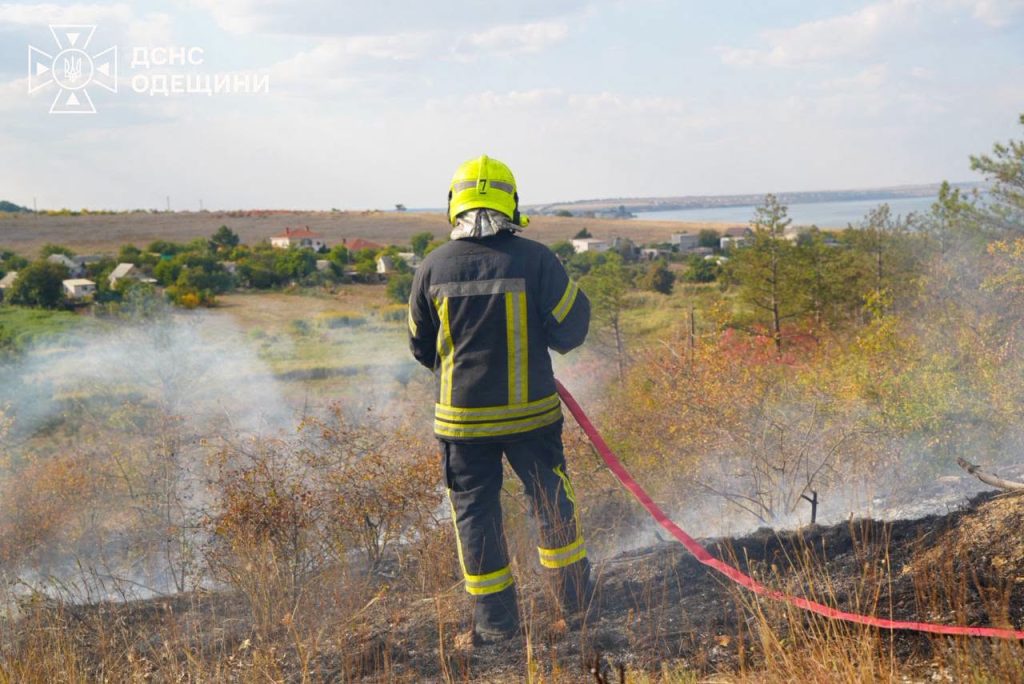 Внаслідок російського удару по Одещині спалахнула пожежа в лісі Внаслідок російського удару по Одещині спалахнула пожежа в лісі