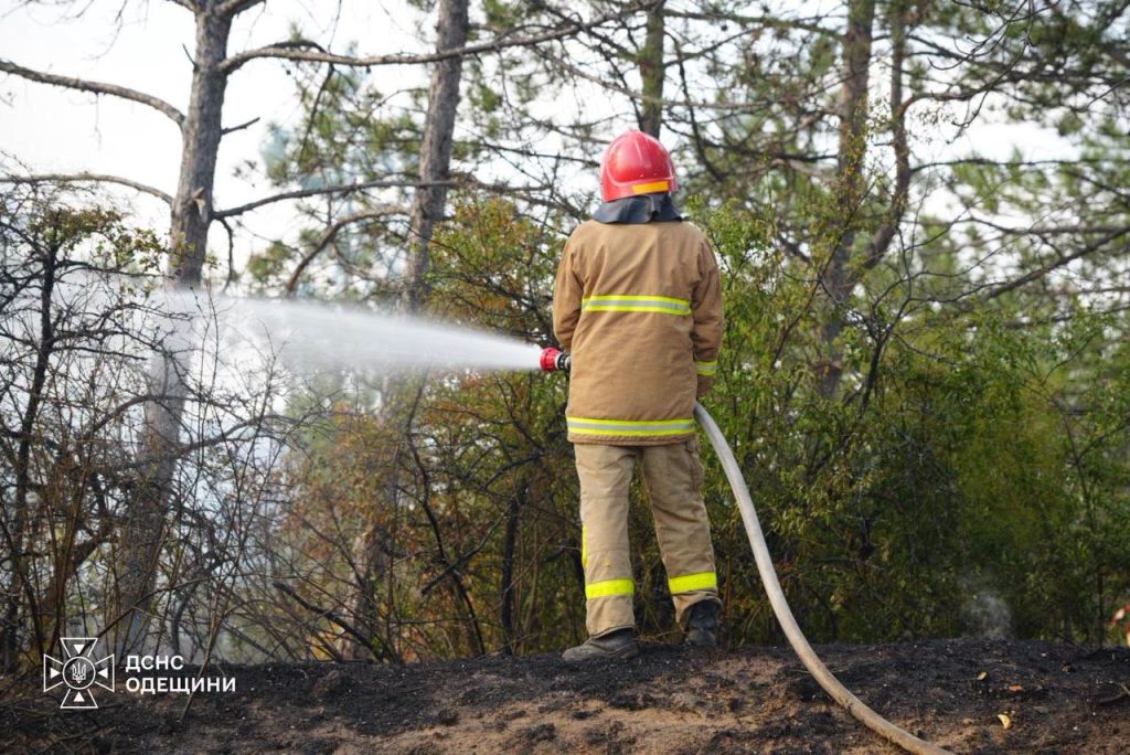 Внаслідок російського удару по Одещині спалахнула пожежа в лісі Внаслідок російського удару по Одещині спалахнула пожежа в лісі