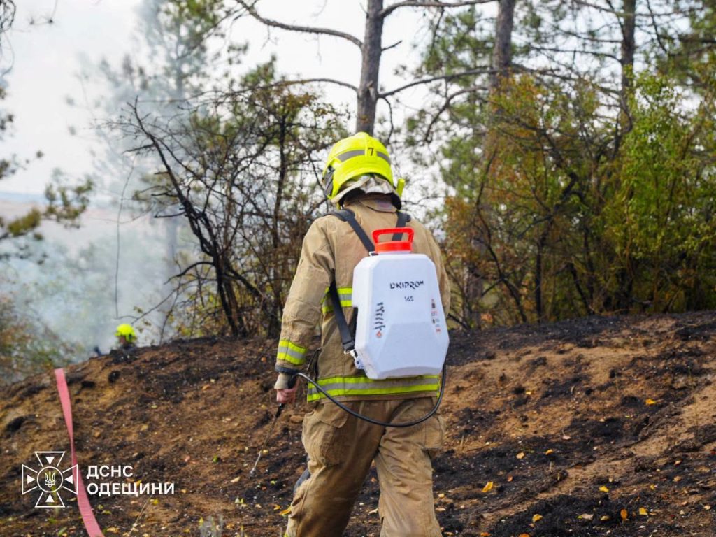 Внаслідок російського удару по Одещині спалахнула пожежа в лісі Внаслідок російського удару по Одещині спалахнула пожежа в лісі
