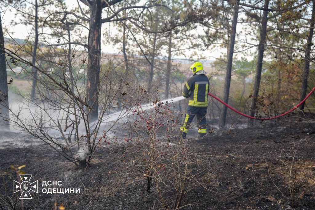 Внаслідок російського удару по Одещині спалахнула пожежа в лісі Внаслідок російського удару по Одещині спалахнула пожежа в лісі