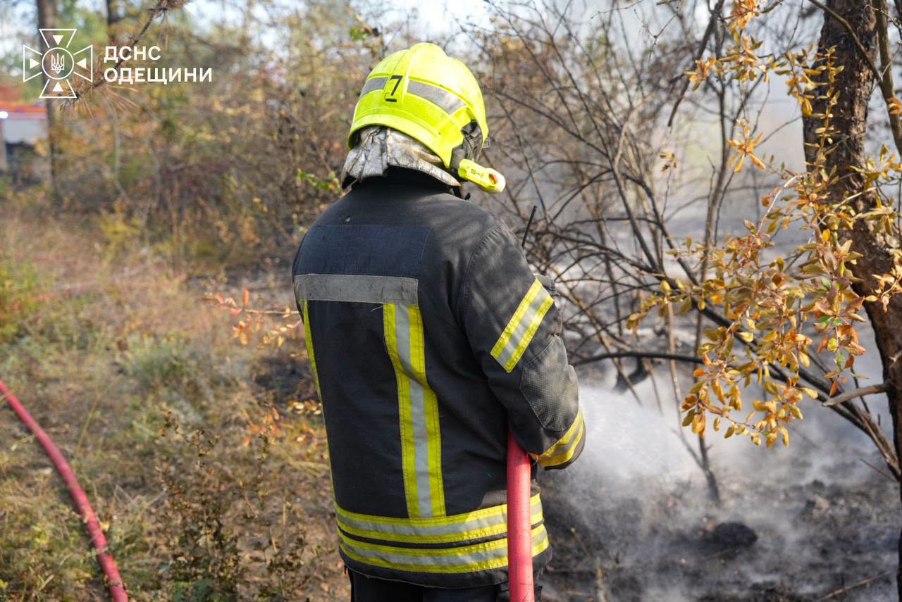 Внаслідок російського удару по Одещині спалахнула пожежа в лісі