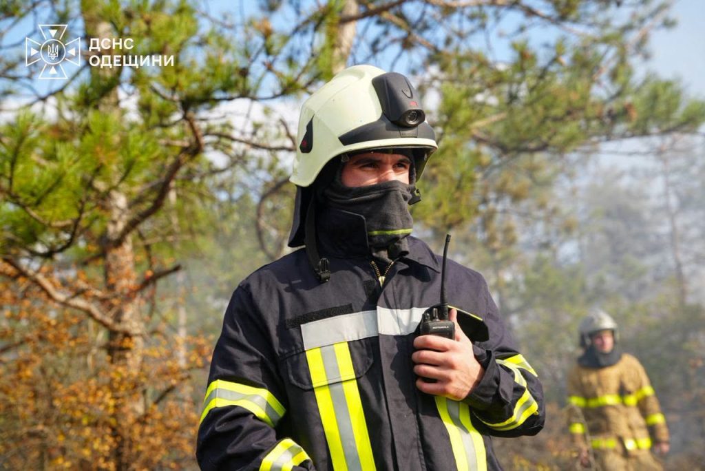 Внаслідок російського удару по Одещині спалахнула пожежа в лісі Внаслідок російського удару по Одещині спалахнула пожежа в лісі