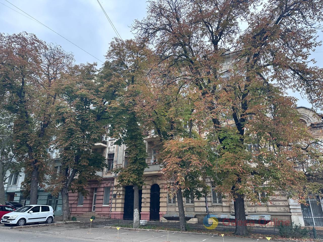 Обстріли, резонансні справи та зміна погоди: чим цього тижня жили Одеса й область