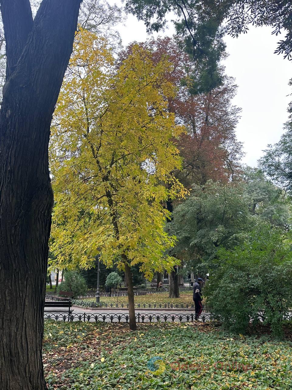 Обстріли, резонансні справи та зміна погоди: чим цього тижня жили Одеса й область